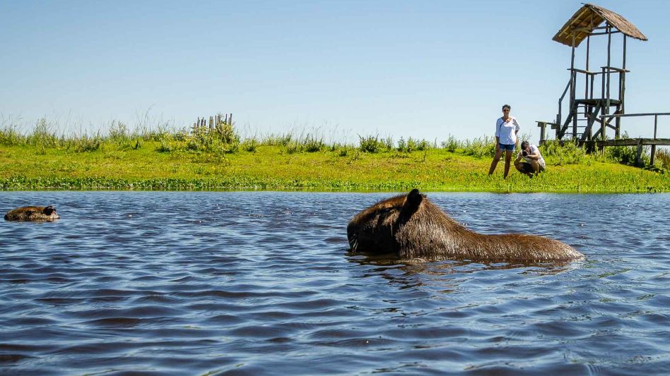 Un hotel porteño y un destino de Argentina, los elegidos por Time
