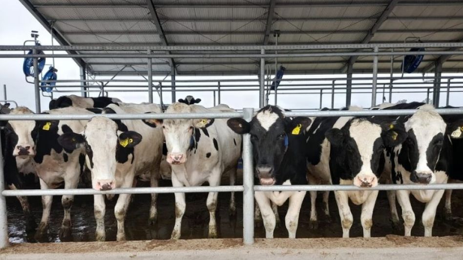 Referentes de la lechería argentina se reunieron en la Expo Rural 2024 para dialogar sobre el futuro del sector. 