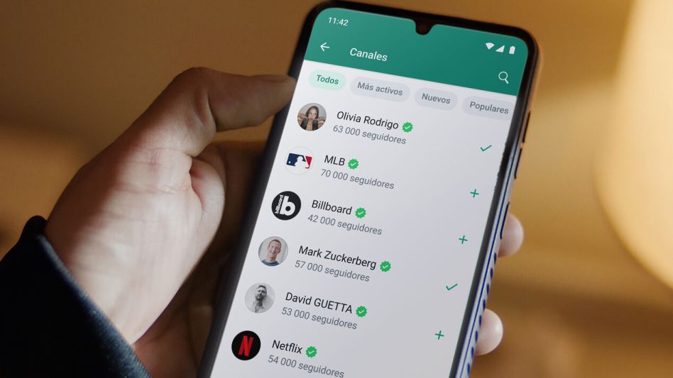 WhatsApp fue denunciada por usar datos privados en Argentina para entrenar su IA