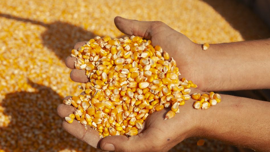 El Gobierno eliminó un requisito clave que debían cumplir los productores