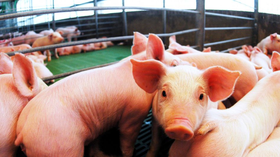 Eliminan derechos de exportación en productos agroindustriales