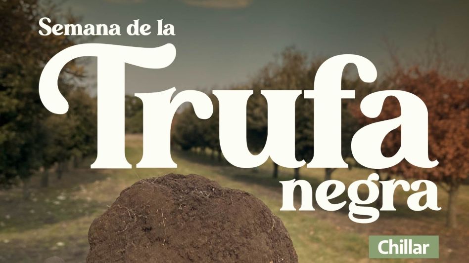 Semana de la Trufa Negra en Chillar y en Azul
