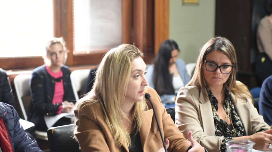 Ahumada presentó un proyecto que busca reafirmar el uso del idioma español conforme a las normas establecidas por la RAE.