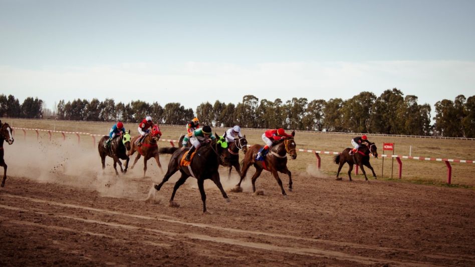 Habrá ocho carreras en el Hipódromo de Azul.