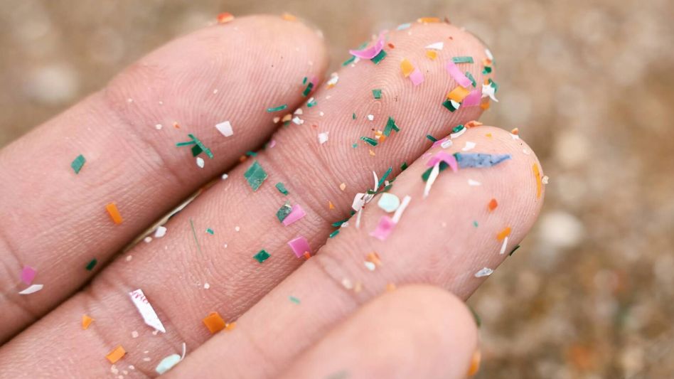 Microplásticos: un nuevo descubrimiento inquieta a la comunidad científica mundial