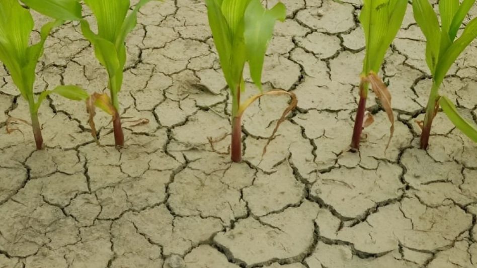 La primavera viene de la mano de "La Niña", que traerá sequías y bajas temperaturas