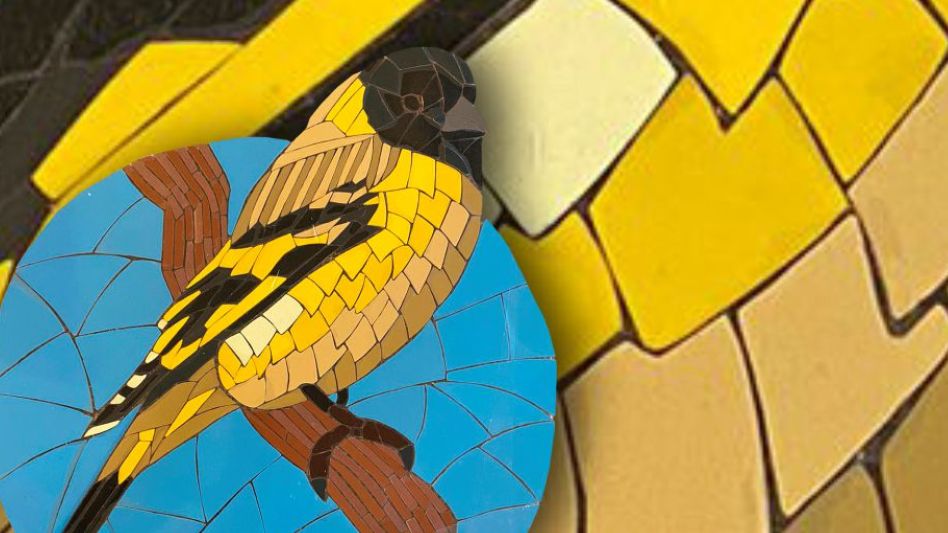 Inauguración de la exposición "Tiempo de volar", en el Centro Salamone