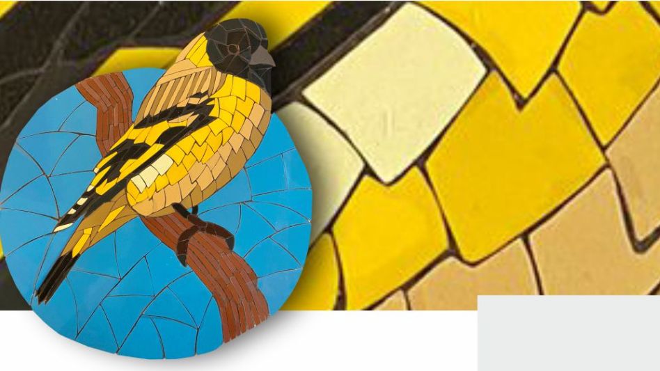 Inauguración de la exposición "Tiempo de volar", en el Centro Salamone