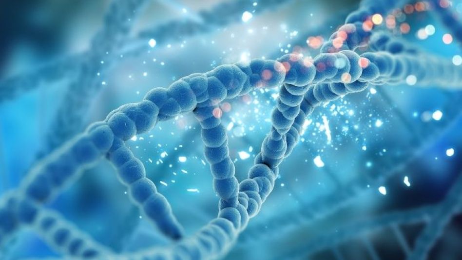 Qué es la epigenética y cómo puede modificar la tendencia a sufrir enfermedades