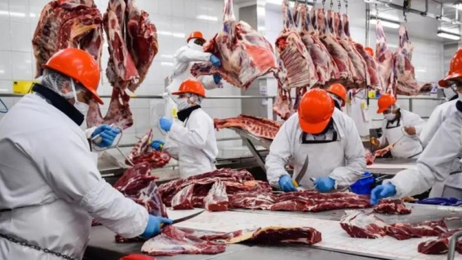 Las exportaciones de carne crecieron un   ocho por ciento en los últimos ocho meses