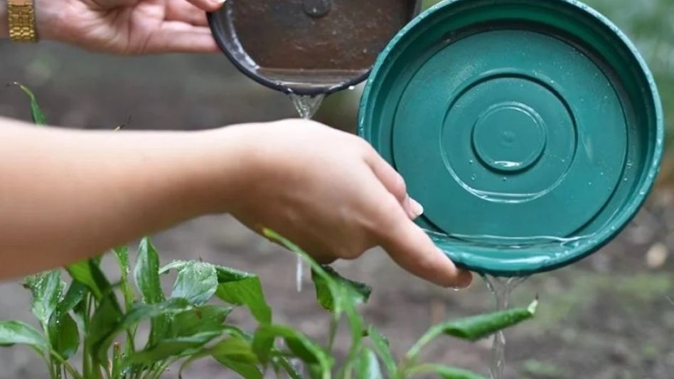 La Provincia impulsa jornadas de desencharcado contra el dengue en los 135 municipios