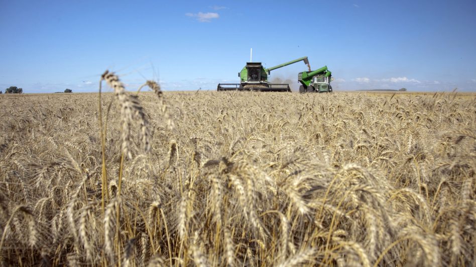 Las lluvias mejoraron las perspectivas del campo en toda la provincia