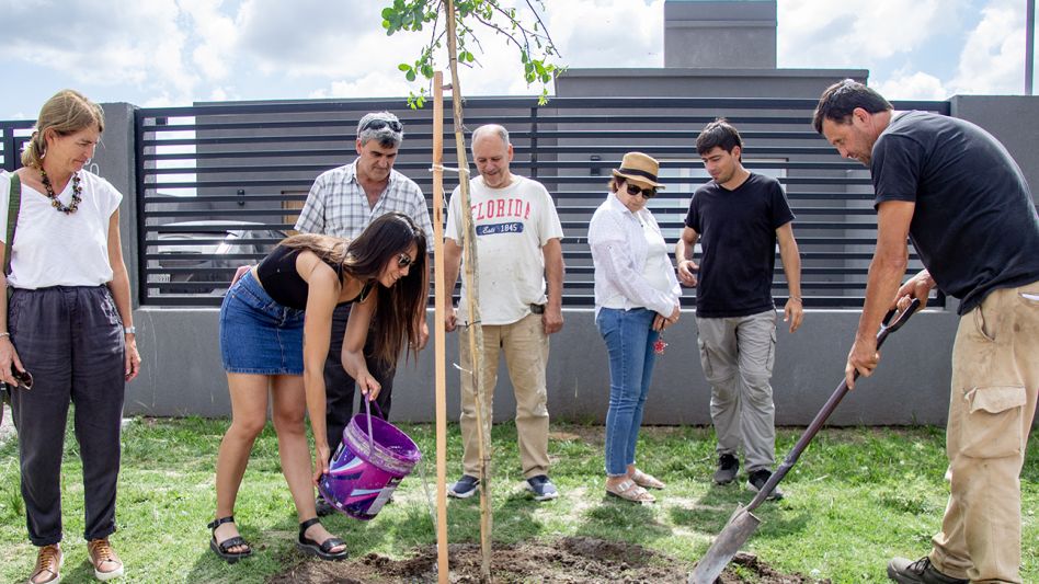 Entrega y plantación de árboles