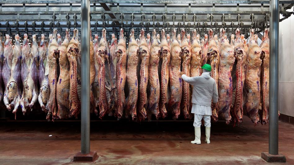 Carne vacuna: las exportaciones alcanzaron la cifra más alta de los últimos 57 años