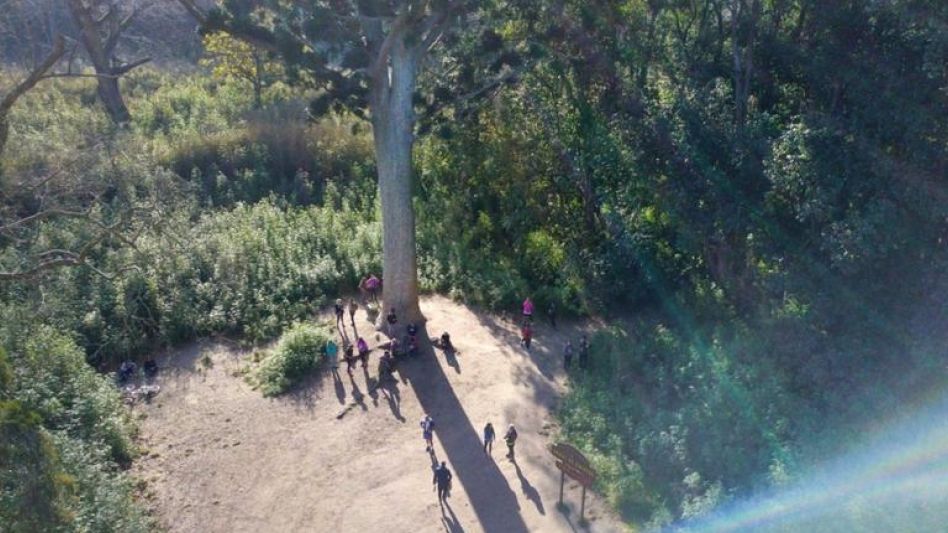 Un tesoro natural que atrae turismo y misterio en Buenos Aires