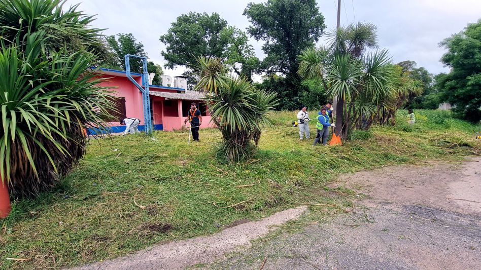 Trabajos de mantenimiento de espacios verdes