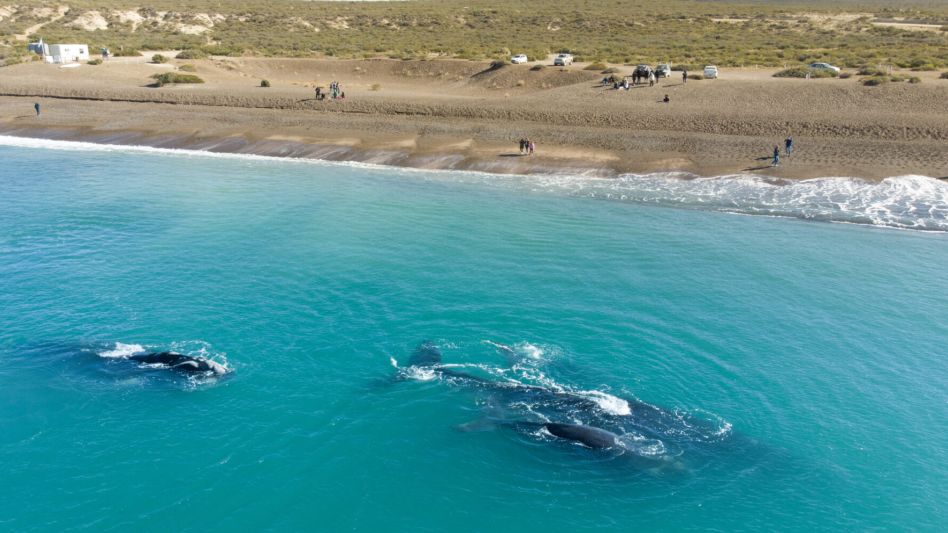 Las Canteras, la playa de Chubut que sorprende