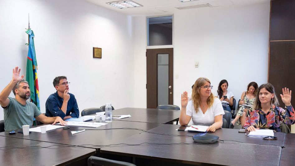 La diputada Laura Aloisi durante la reunión plenaria de comisiones que trató el proyecto de creación del Centro de Industria Farmacéutica Bonaerense.  PRENSA DIPUTADA ALOISI