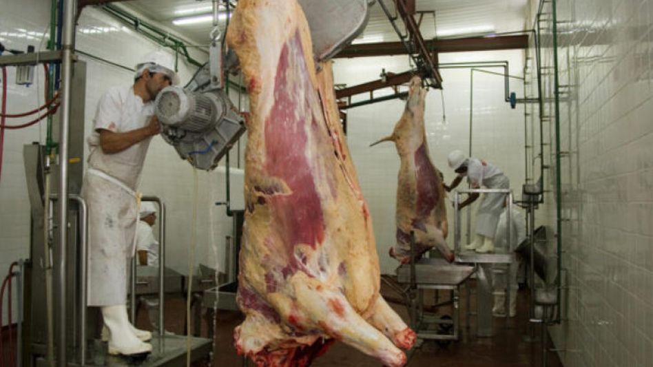 Carnes: qué se espera para 2025 y qué   hace falta para el despegue de ese sector  