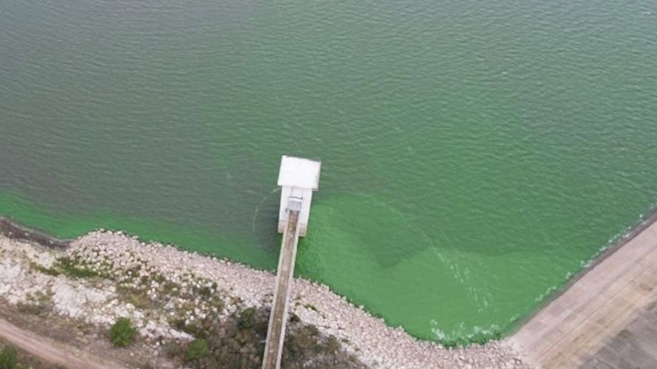 Preocupación por la presencia de algas en el Dique Paso de las Piedras y el suministro de agua potable en la zona