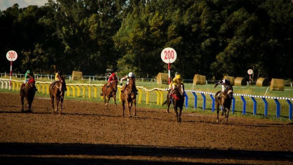 Un total de 141 caballos pura sangre se inscribieron para participar de la primera reunión del año en el circo hípico local del próximo domingo. 