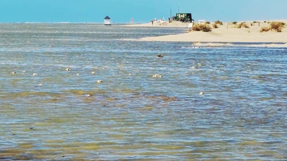 El tesoro natural de la Costa imperdible para explorar este verano