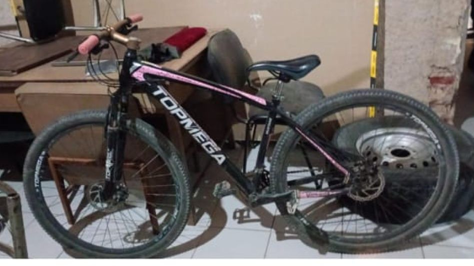 Una de las bicicletas recogidas en un terreo baldío por el personal pollcial. FOTO: EPDS AZUL(PBA