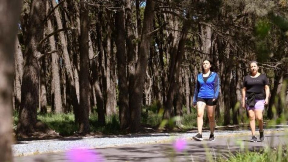 Caminar todos los días ayuda a combatir la depresión