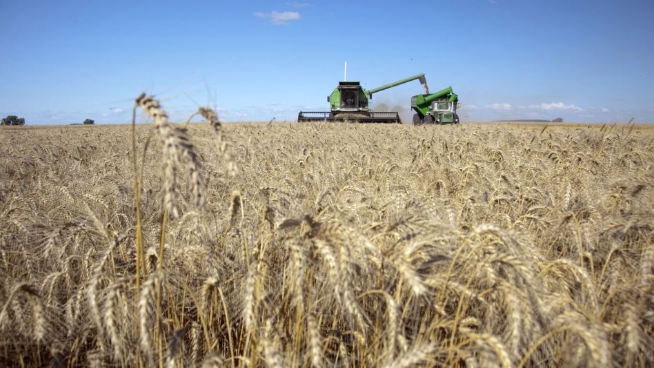 El gobierno baja hasta las retenciones a la soja, el trigo y el girasol