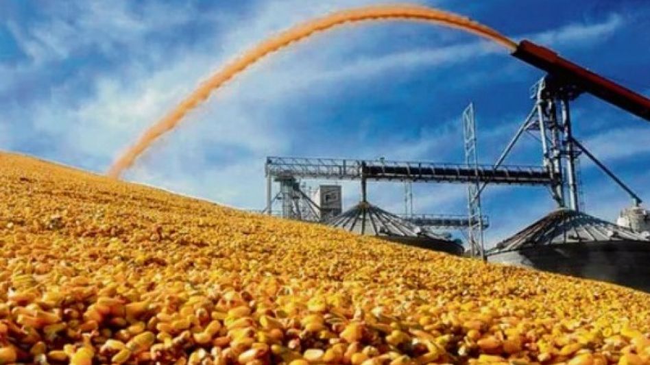 El comercio exterior argentino comenzó el año con cifras récord en el mercado de maíz.