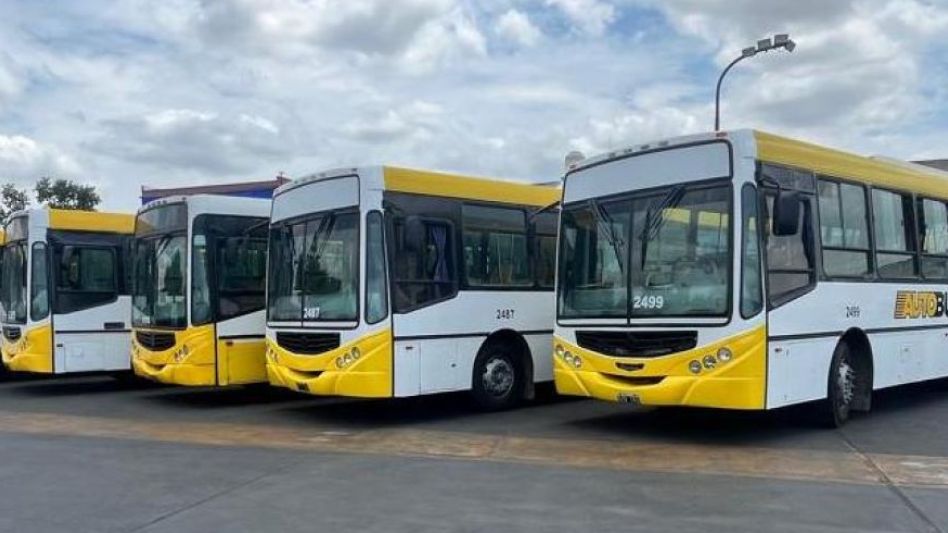 Transporte urbano: jornada de presentación y exhibición de las nuevas unidades