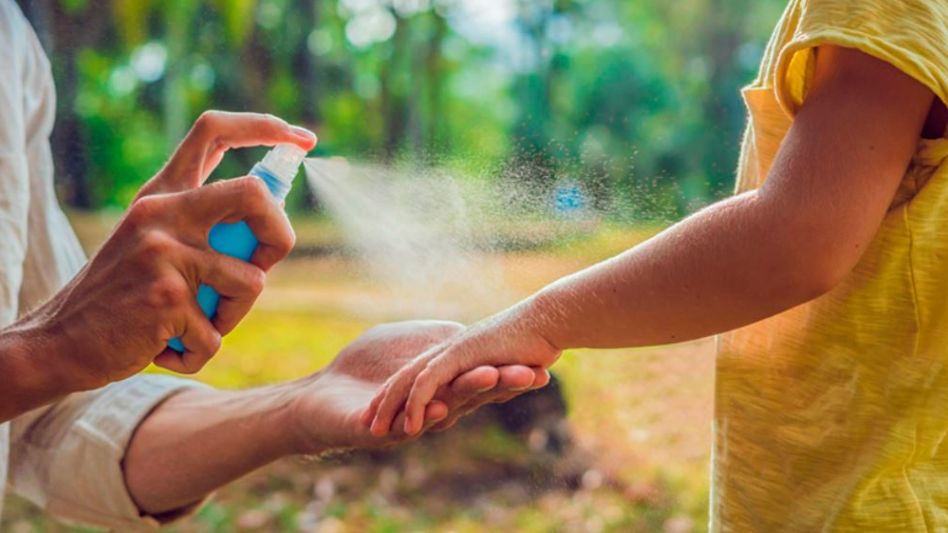 Dengue: alertan que febrero y marzo son los meses de mayor circulación del mosquito Aedes aegypti