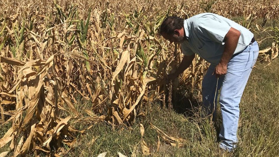 Inmobiliario Rural: el campo pagará menos impuestos este año