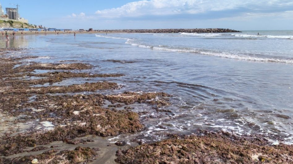 Algas rojas en la costa: ¿por qué aparecen y qué precauciones hay que tomar?
