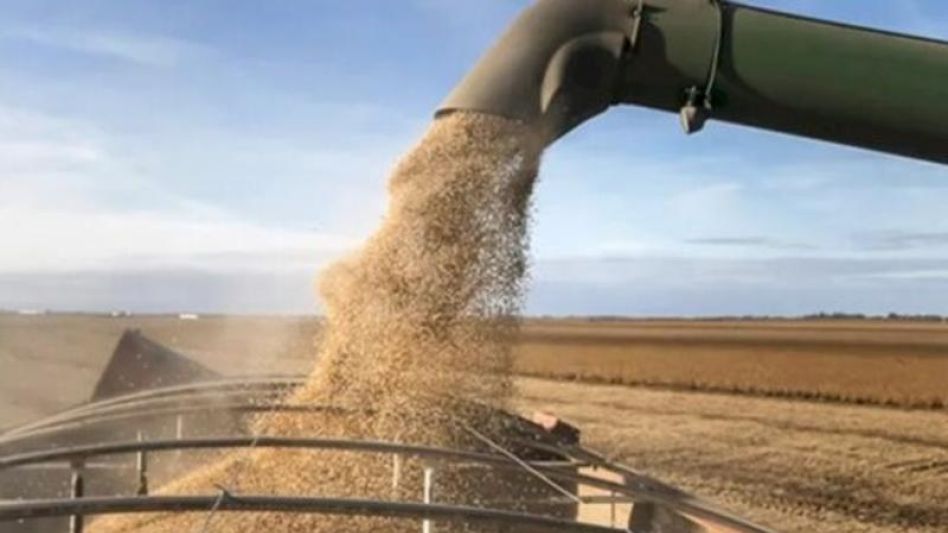 Las exportaciones del agro crecieron un 25% 