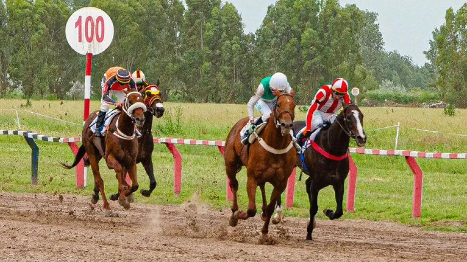 Esta tarde, desde las 13:45, en el circo hípico local se estará desarrollando la segunda reunión del año del Jockey Club. ARCHIVO