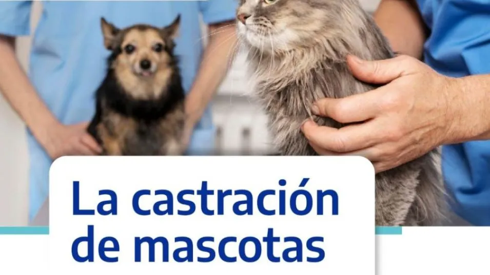 Nueva jornada de castración en el CAPS N° 6