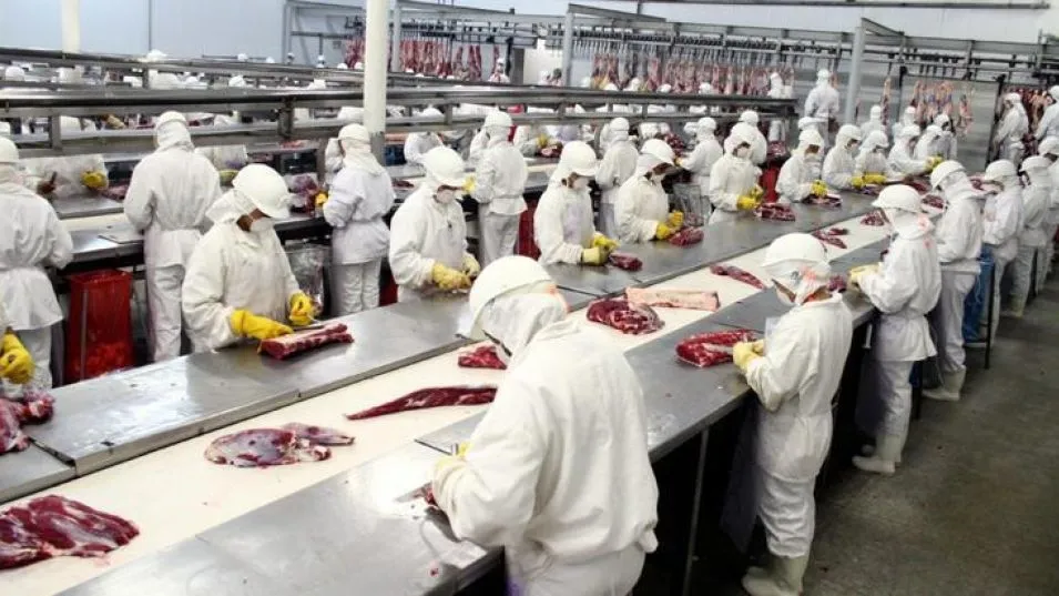Las exportaciones de carne cayeron 27% en la medición interanual.