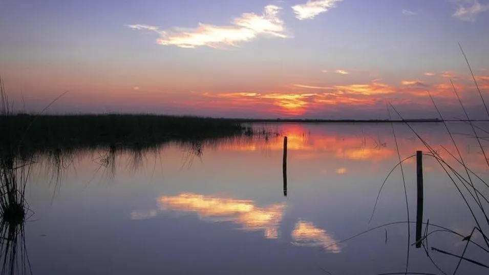 La laguna secreta de Chascomús que pocos conocen y es ideal para relajarse todo el año