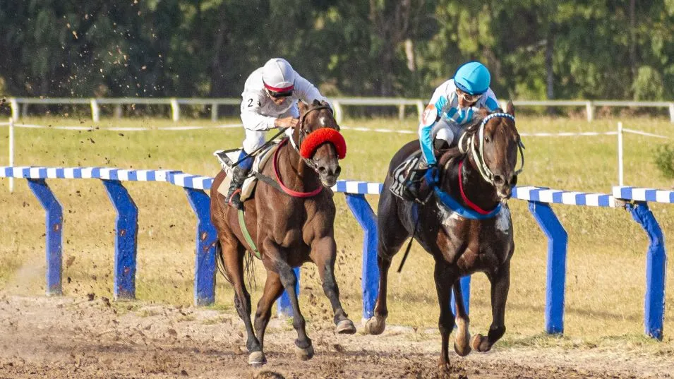Un total de 106 caballos pura sangre fueron ratificados para participar en la tercera reunión del año, que se realizará el domingo en el circo hípico. ARCHIVO