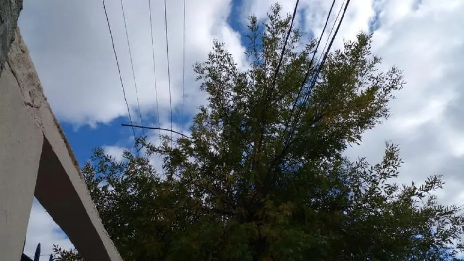 Vecinos de la zona de Maipú y Bogliano solicitan que se cumpla con lo establecido por la Ordenanza Nº 4752/2.
