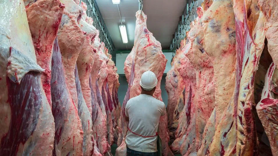  Expectativas para las exportaciones de carne vacuna