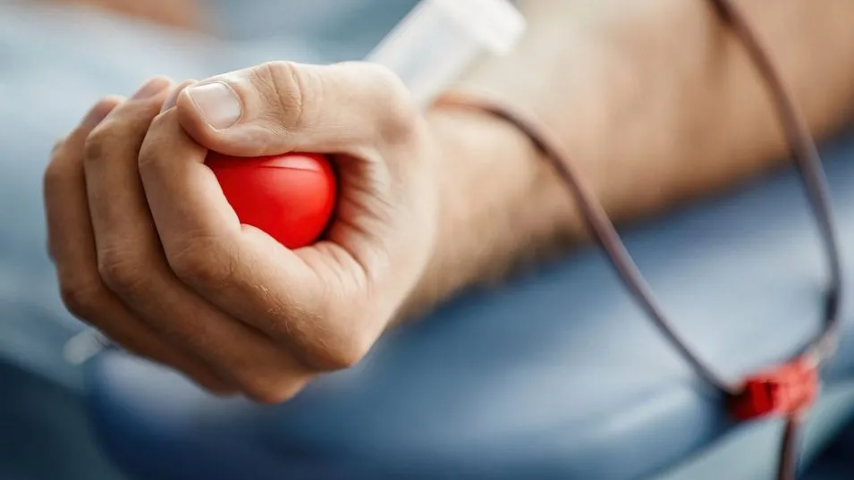 Donar médula ósea, un acto "libre, solidario y gratuito"