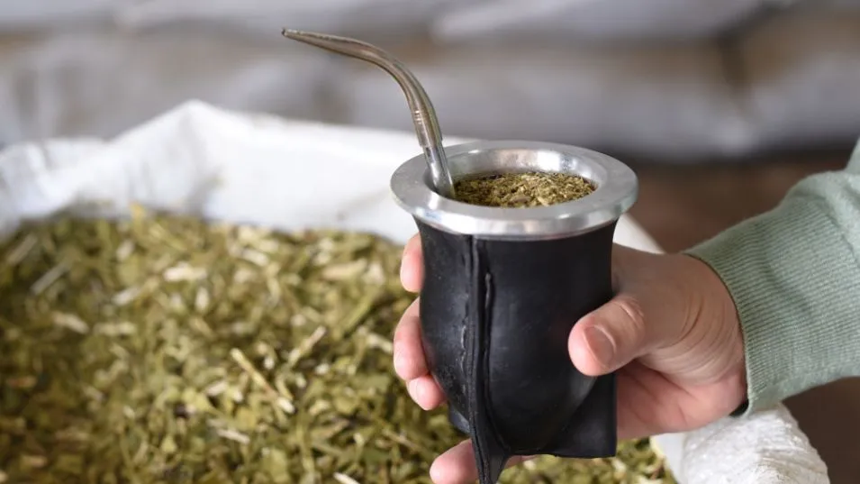 ¿Qué país se lleva el 77% del total de yerba que exporta la Argentina?