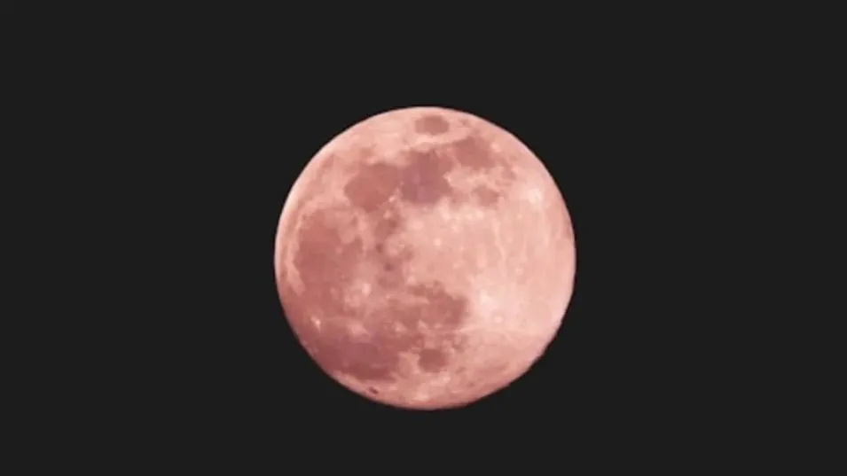 Llega la "Luna Rosa" de abril: por qué se llama así y cuándo podrá verse