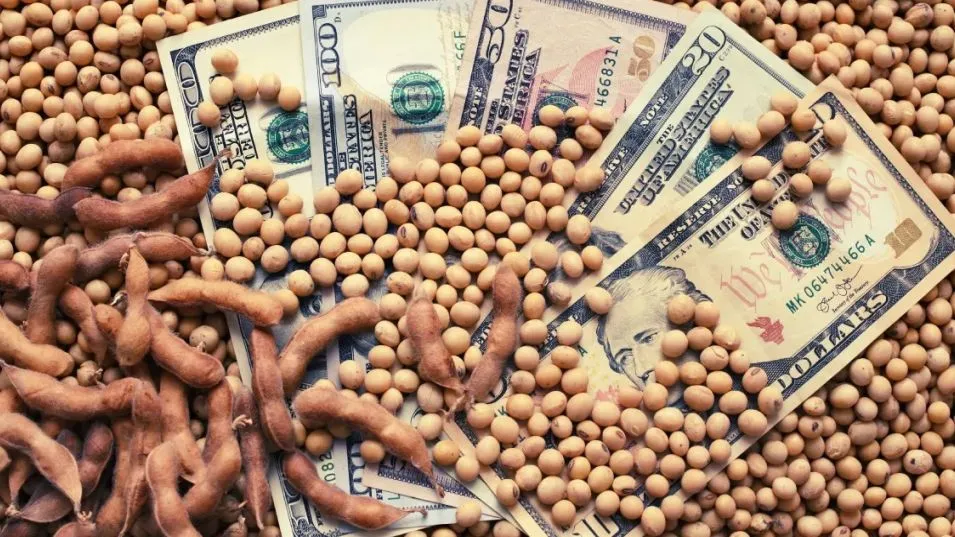 Dato clave para el plan económico del gobierno: el campo liquidó en abril un 32% más