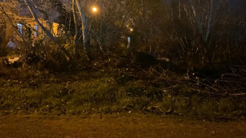 El terreno al que había ingresado el acusado. Vecinos reclaman por mejor iluminación en la zona. FOTO: EL TIEMPO