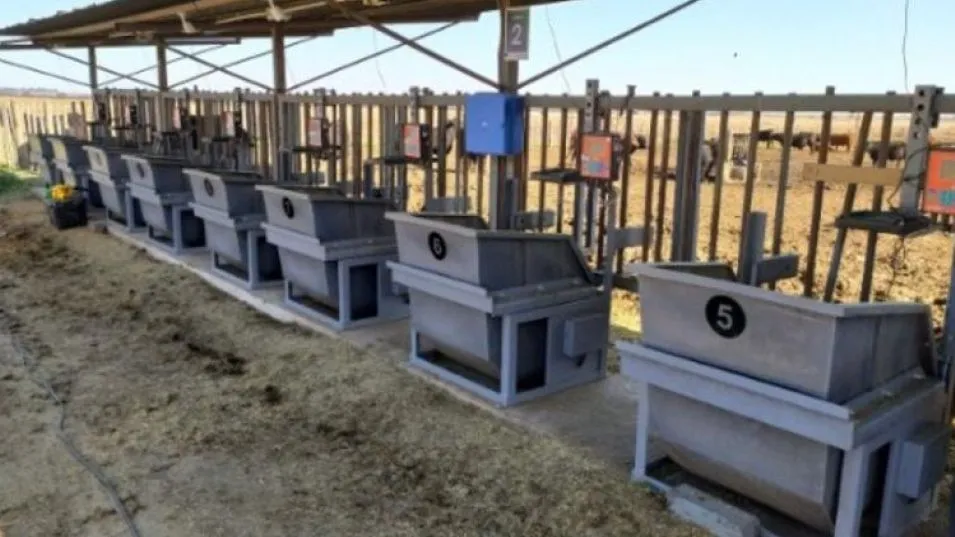 Desarrollan herramientas para asegurar más   eficiencia y sustentabilidad en la producción  