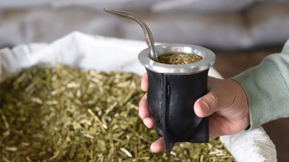 Las razones por las que es bueno para la salud tomar mate