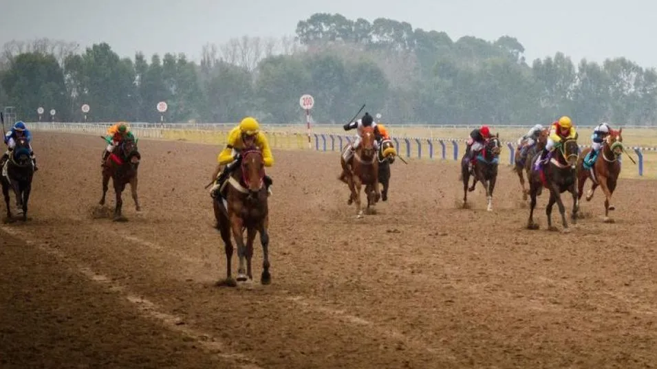 El domingo en el circo hípico local se realizó la octava reunión del año, con la organización del Jockey Club Azul. ARCHIVO